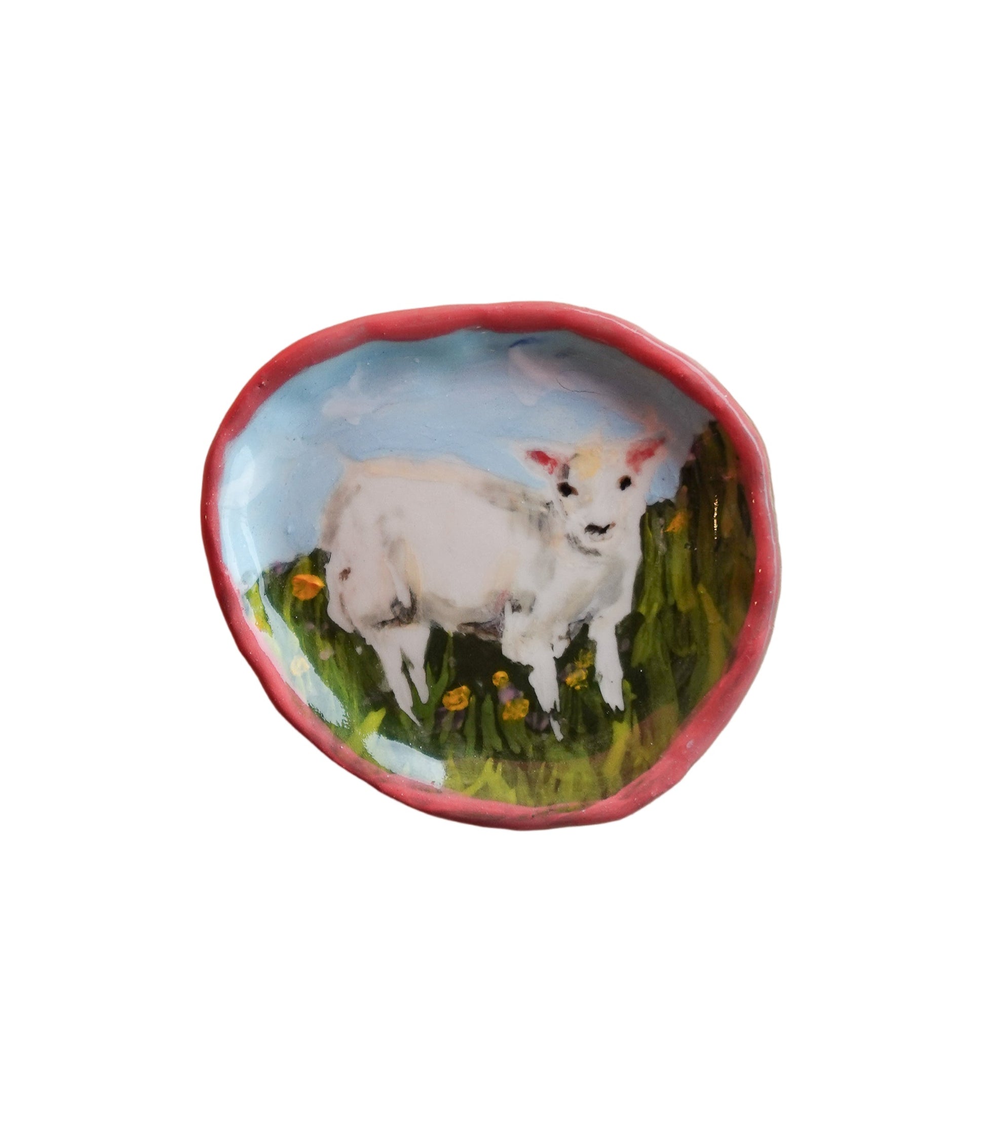 sheep