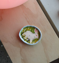 rabbit