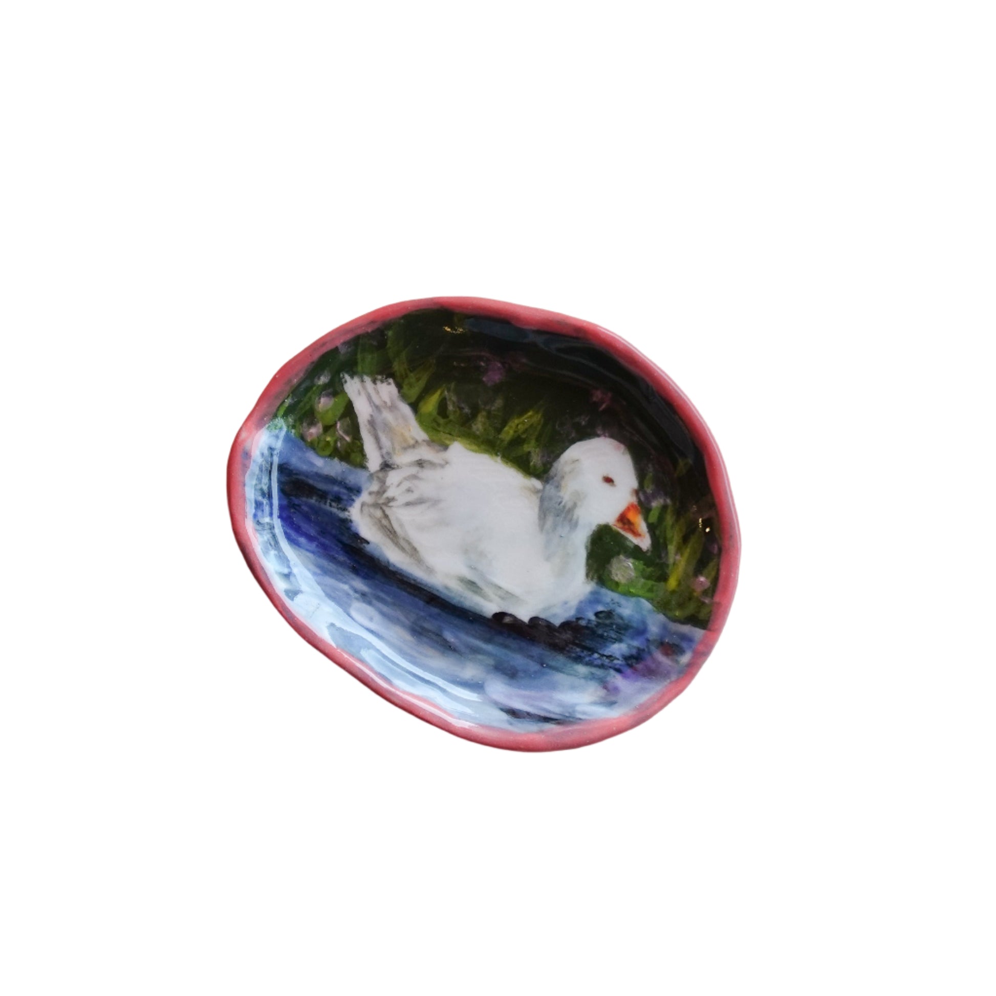 duck in shallow water