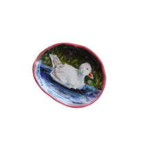 duck in shallow water