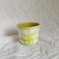 lime flavoured orchids. cup