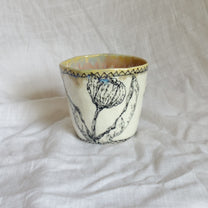 the tulips. cup
