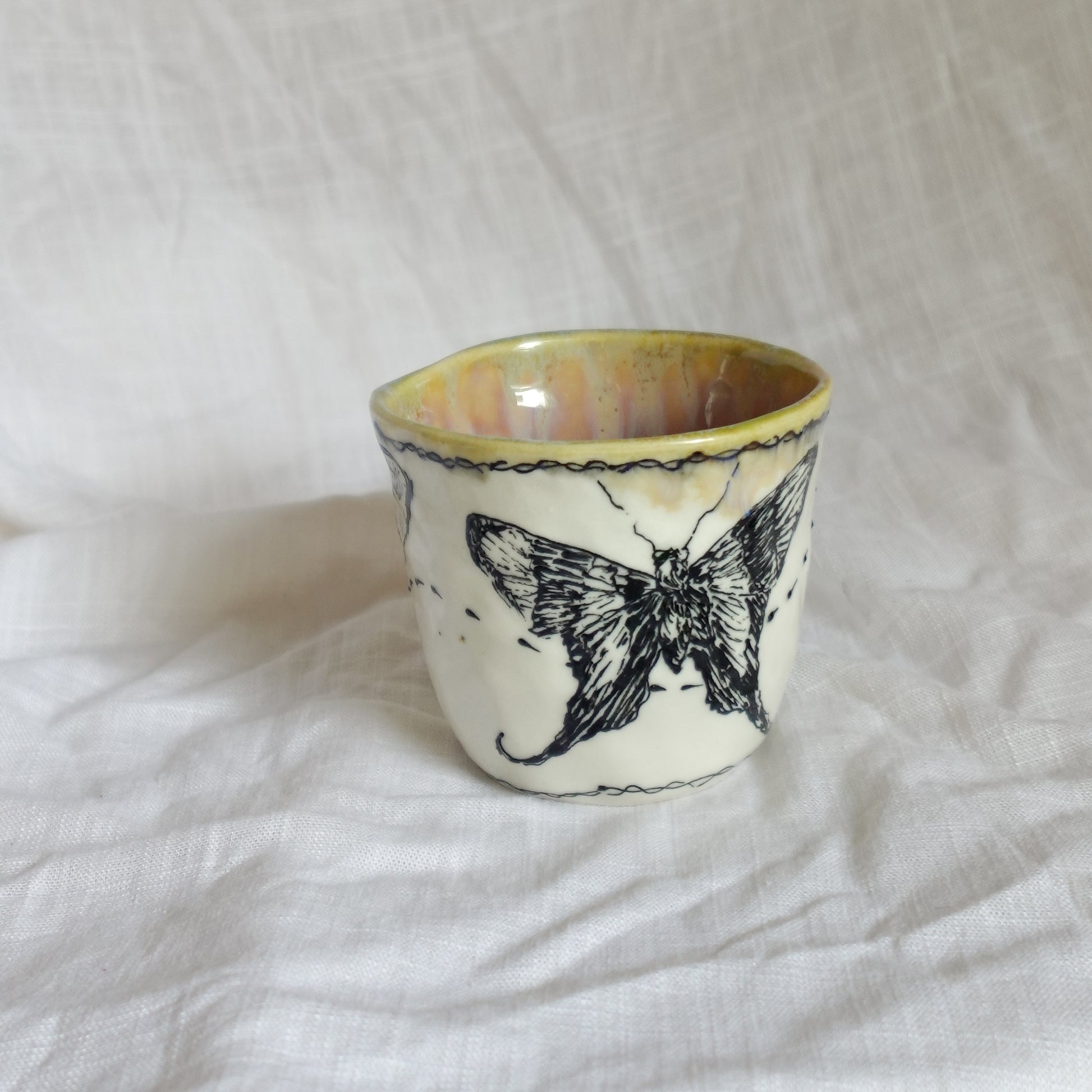 the butterflies. cup