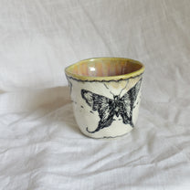 the butterflies. cup