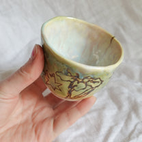 shadows. cup