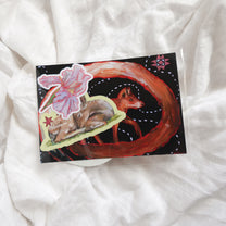 print and sticker packs