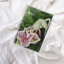 print and sticker packs