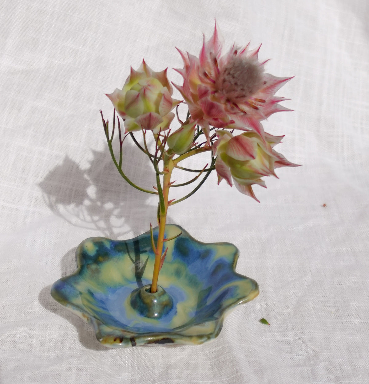 ammonite. incense holder